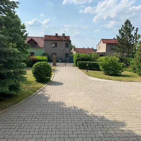 Dogs And Horni Bezdekov