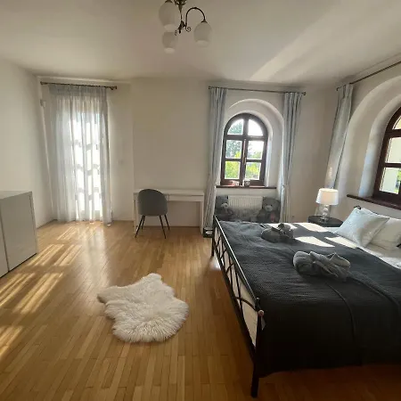 Bed & Breakfast Dogs And Spa Horni Bezdekov