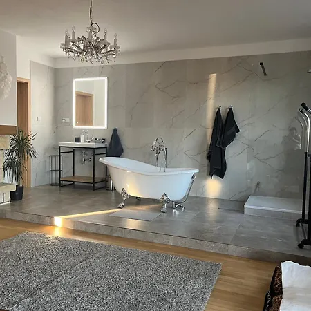 Dogs And Spa *