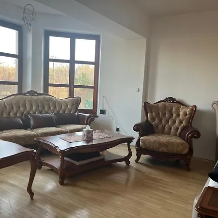 Dogs And Holiday home *