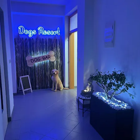Dogs And Spa Horni Bezdekov