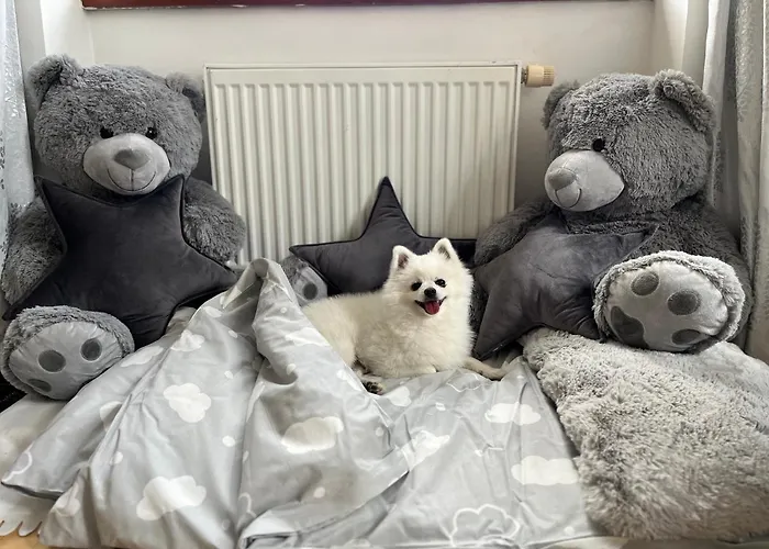 بيت للعطل Dogs And Horni Bezdekov