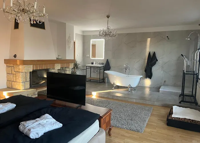 Dogs And Horni Bezdekov