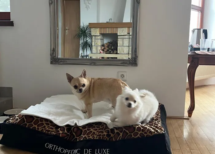 بيت للعطل Dogs And Horni Bezdekov