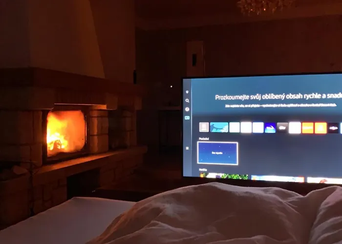 Dogs And Horni Bezdekov